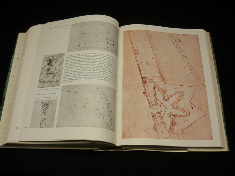 1965 THE COMPLETE WORK OF MICHELANGELO HARDCOVER BOOK - R 350F