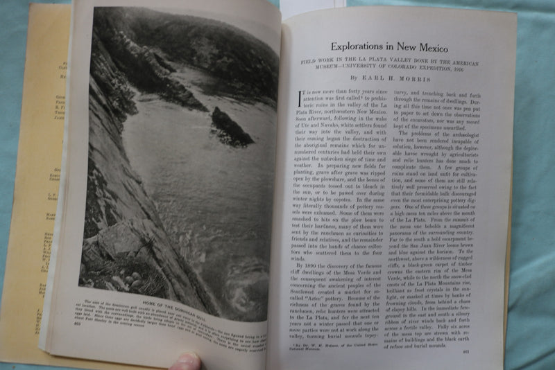 1917 NOVEMBER THE AMERICAN MUSEUM JOURNAL - PENGUINS - SOFTCOVER BOOK - K 3270