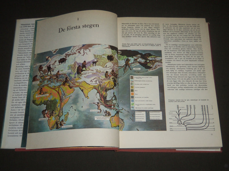 1967 MANNISKANS SAGA BY JAN OJVIND SWAHN SWEDISH BOOK - NICE PRINTS - I 988
