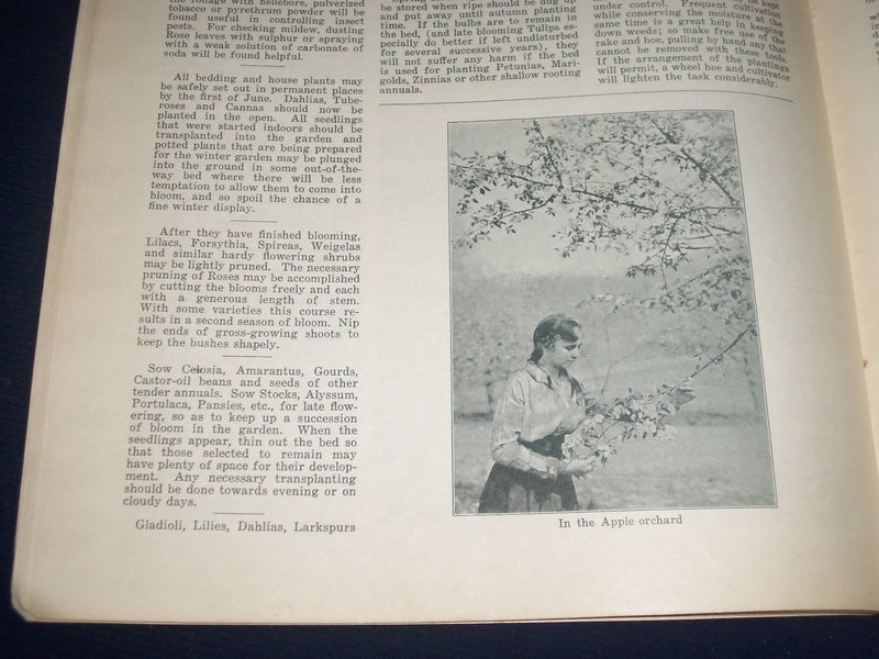 1924 JUNE THE FLOWER GROWER MAGAZINE - MISS ISABEL GARDERN - ADS - J 1205