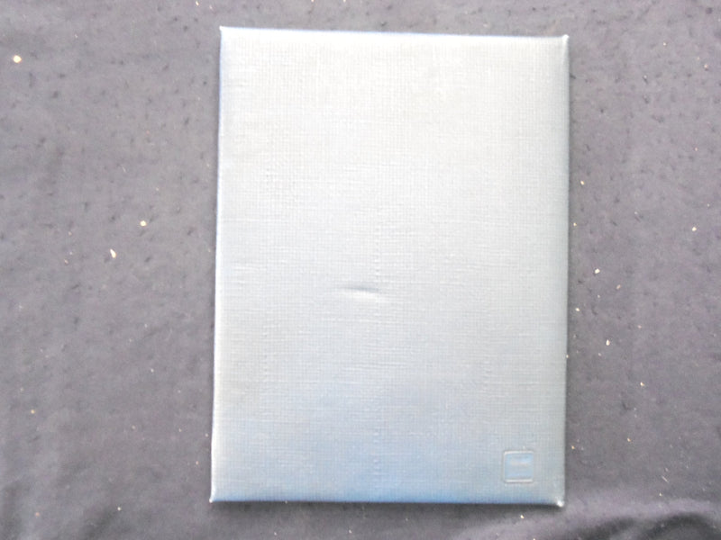 1960 THE REFLECTOR HARRISBURG HOSPITAL SCHOOL OF NURSING YEARBOOK - YB 3329
