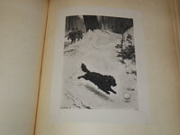 1898 CATALOGUE DE LUXE OF WILLIAM H. STEWART FRENCH VOLUME 1 & 2 - #17