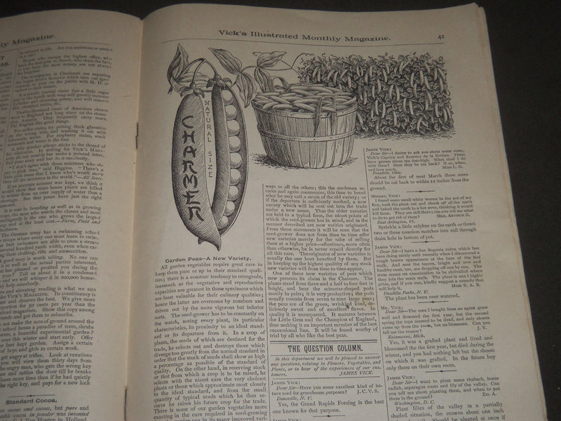 1892 JANUARY VICK'S ILLUSTRATED MONTHLY MAGAZINE - ROCHESTER NEW YORK - J 2565