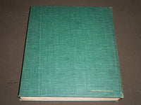 1954 GOTHIC PAINTING BY JACQUES DUPONT & CESARE GNUDI BOOK - I 543