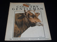 1914 OCTOBER 24 THE COUNTRY GENTLEMAN MAGAZINE ILLUSTRATED COVER ART - E 2863