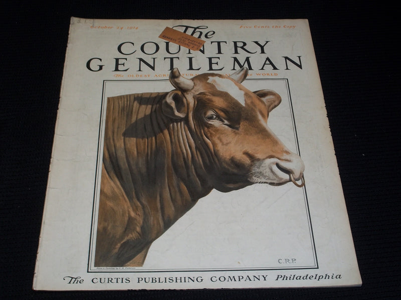 1914 OCTOBER 24 THE COUNTRY GENTLEMAN MAGAZINE ILLUSTRATED COVER ART - E 2863
