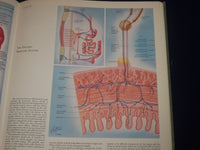 1977 CIBA COLLECTION OF MEDICAL ILLUSTRATIONS VOL. 1 - NERVOUS SYSTEM - KD 2708