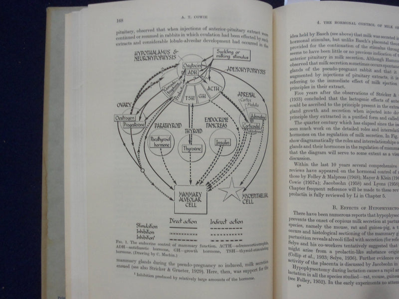 1961 MILK: THE MAMMARY GLAND AND ITS SECRETION HARDCOVER BOOKS-LOT OF 2- KD 8827