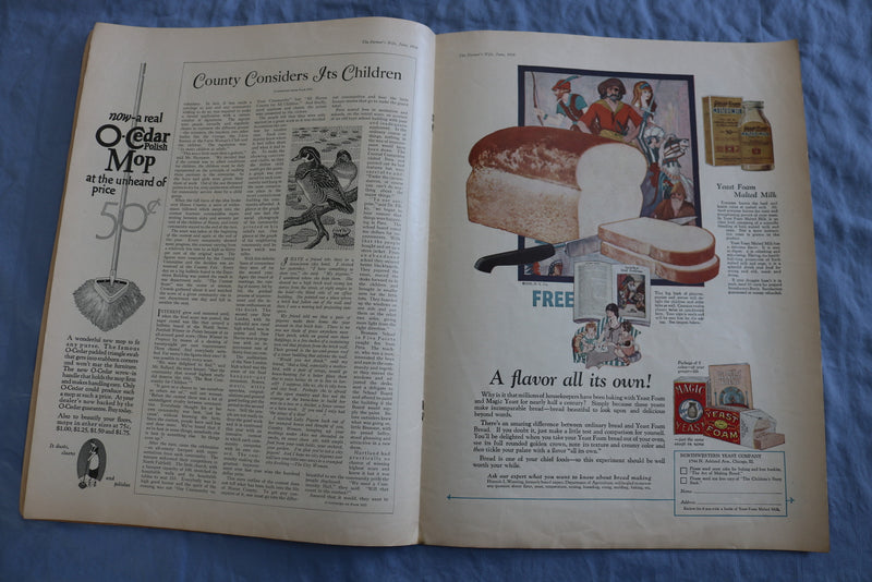 1926 JUNE THE FARMER'S WIFE MAGAZINE - ILLUSTRATIONS/STORIES/ADS - SP 4784F