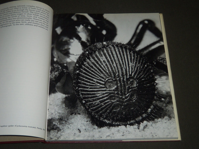 1973 ANDREAS FEININGER BY RALPH HATTERSLEY HARDCOVER BOOK - I 852