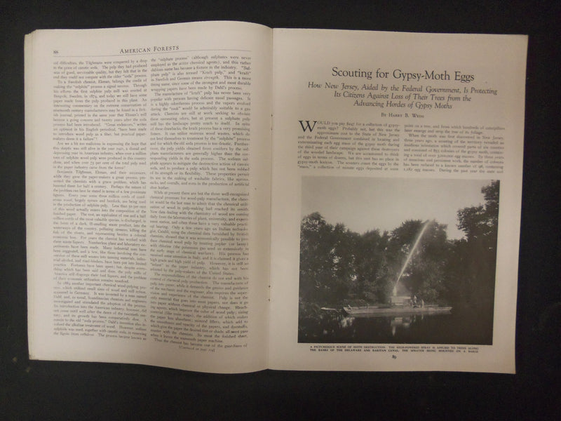 1924 FEBRUARY AMERICAN FORESTS & FOREST LIFE MAGAZINE - ST 4605