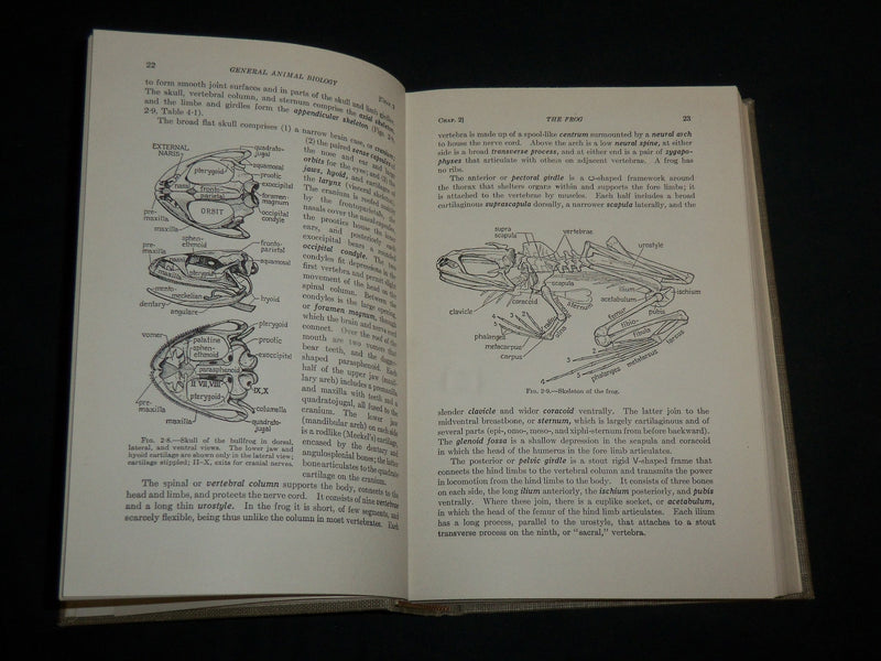 1943 GENERAL ZOOLOGY HARDCOVER BOOK BY TRACY I. STORER - KD 6989
