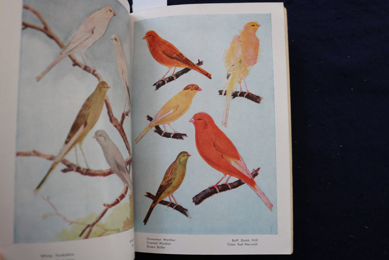1941 CANARIES THEIR CARE AND BREEDING SOFTCOVER BOOK - K 980