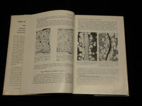 1960 BONE AS A TISSUE HARDCOVER BOOK EDITED BY KAARE RODAHL - KD 6416