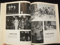 1981 IMPRESSIONS PEQUANNOCK VALLEY SCHOOL YEARBOOK- POMPTON PLAINS, NJ - YB 3160