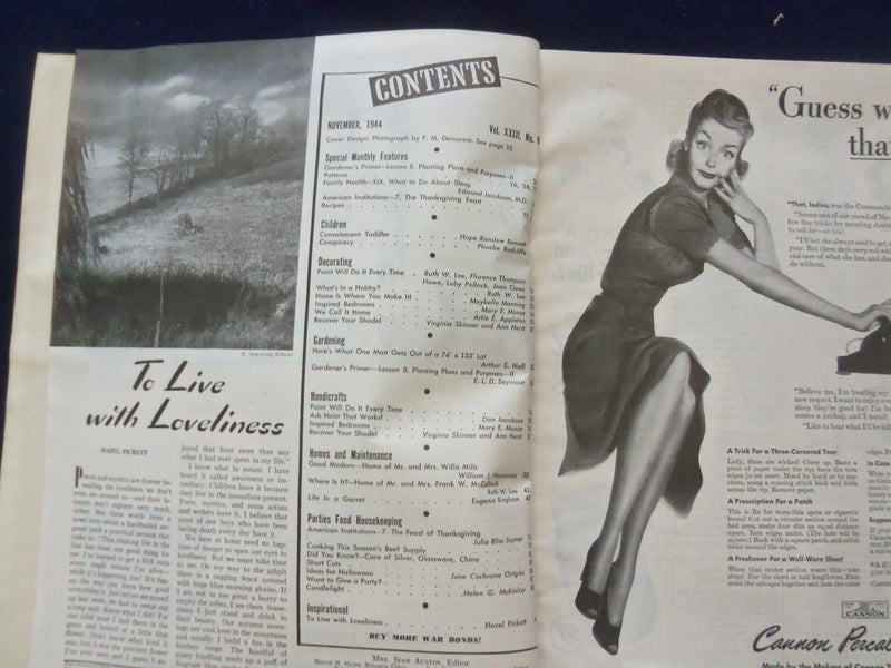 1944 NOVEMBER THE AMERICAN HOME MAGAZINE - PAINT WILL DO IT EVERY TIME- SP 6118K