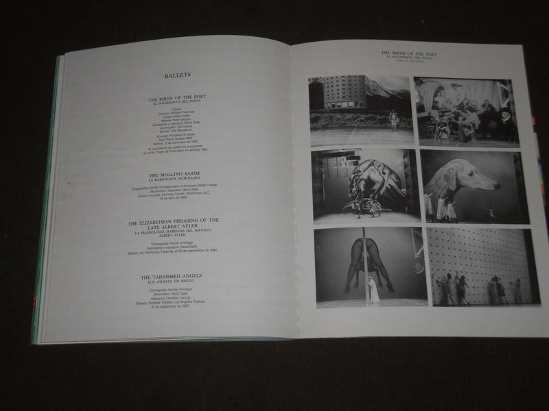 1988 DAVID SALLE FUNDACION CAJA DE PENSIONES BOOK - SPANISH - D 211