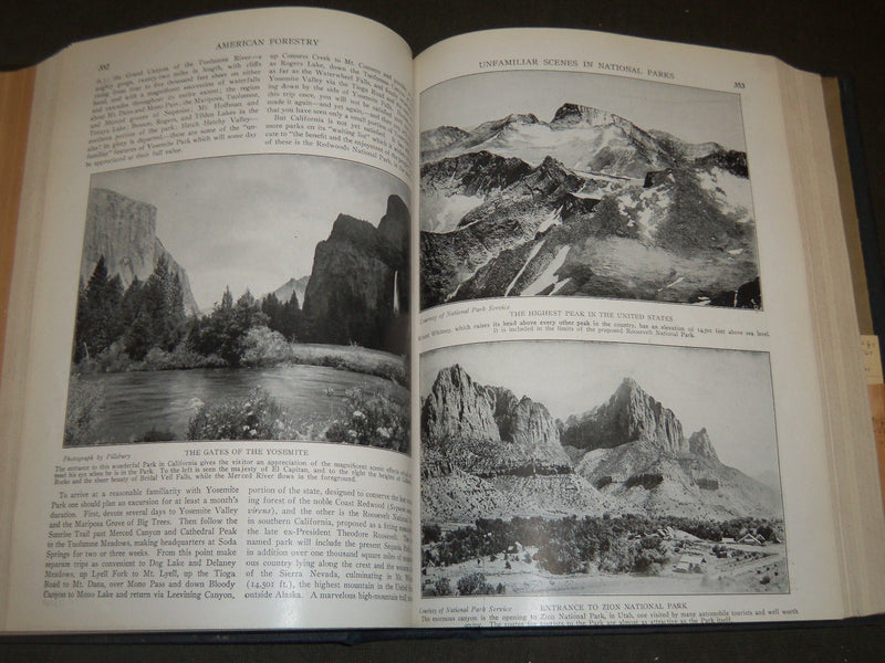 1921 JAN-DEC AMERICAN FORESTRY MAGAZINE BOUND VOLUME - COVERS & ADS - R 401