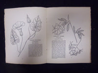 1930 FEBRUARY HARDY AND HALF-HARDY PLANTS MAGAZINE - LOT OF 2 - ST 3270