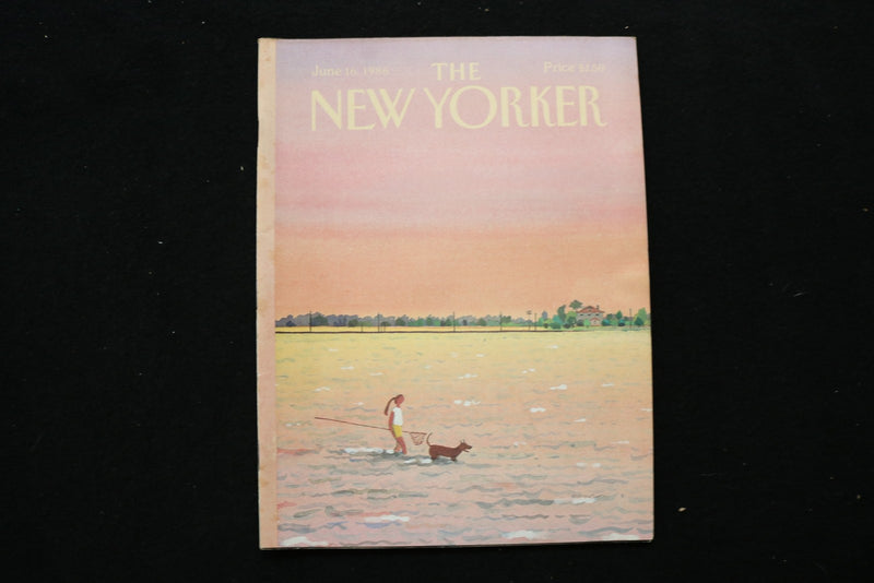 1986 JUNE 16 NEW YORKER MAGAZINE - GREAT ILLUSTRATED COVER - NY 3261