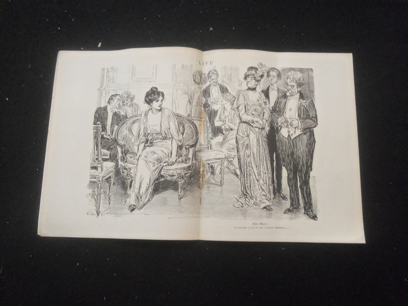 1915 JUNE 24 LIFE MAGAZINE - CHOOSING HER PROFESSION - L 761M