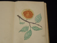 1875 MONROE'S PRACTICAL SPELLER BOOK BY LEWIS B. MONROE - K 2190