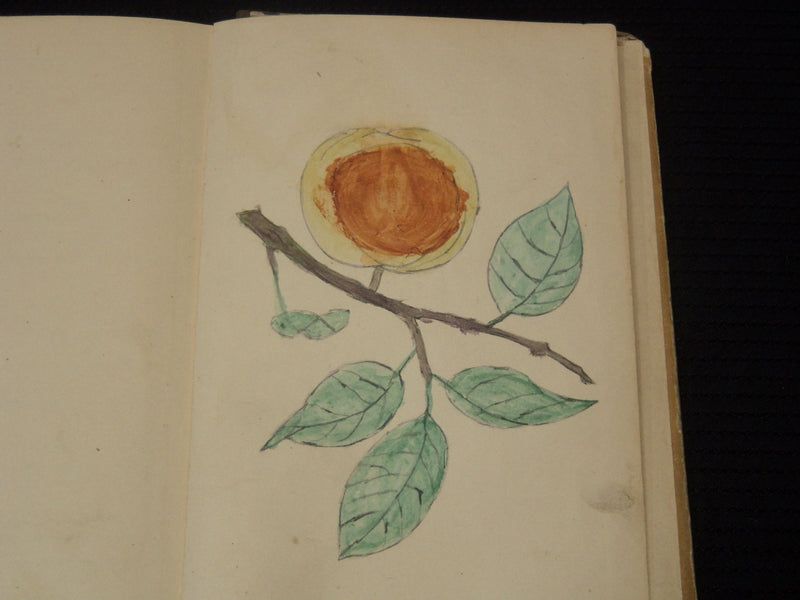 1875 MONROE'S PRACTICAL SPELLER BOOK BY LEWIS B. MONROE - K 2190