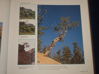 2001 TOTALEMENT BONSAI HARDCOVER BOOK BY CRAIG COUSSINS - NICE PHOTOS - KD 2750