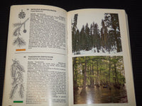 1968-1988 ASSORTED FIELD GUIDES LOT OF 6 - AUDUBON - TREES - WILDFLOWERS- R 701M