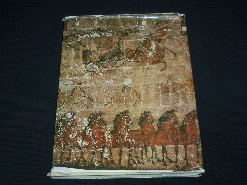 1978 TOMB RHINOCEROS HARDCOVER BOOK - INNER MONGOLIA - BEIJING - R 728I