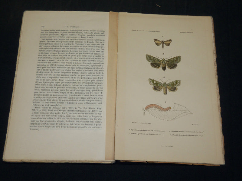 1891-1911 ANNALES SOCIETE ENTOMOLOGIQUE DE FRANCE ET BELGIQUE HUGE LOT - WR 140