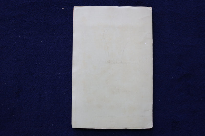 1930'S FLOWERS OF BERMUDA SOFTCOVER BOOK BY MAY MIDDLETON - K 1450