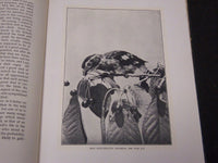 1902 BIRD HOMES EGGS & BREEDING BY A. R. DUGMORE - GREAT ILLUSTRATIONS - KD 33