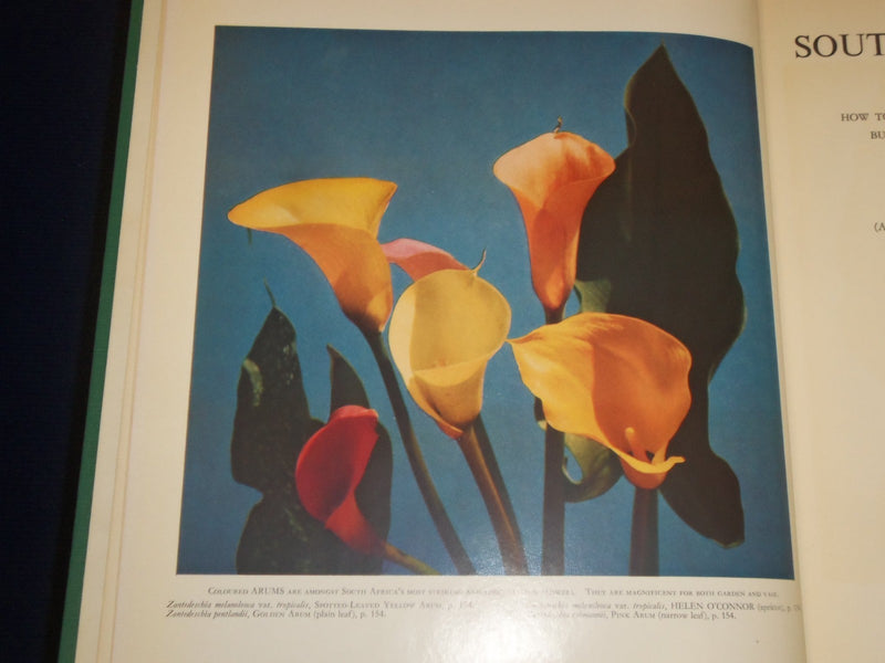 1955 SOUTH AFRICAN FLOWERS FOR GARDENS BOOK BY SIMA ELIOVSON - PHOTOS - KD 3100