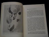 1966 ART IN LATIN AMERICA TODAY BOOK - GUATEMALA - J 7368