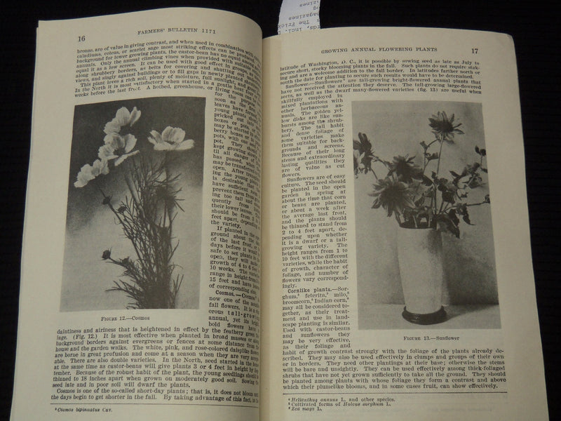 1939 GROWING ANNUAL PLANTS - U. S. DEPARTMENT OF AGRICULTURE BULLETIN - K 2655