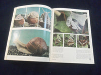1967 FALL PHOTOGRAPHIC APPLICATIONS IN SCIENCE AND TECHNOLOGY MAGAZINE -SP 4714M