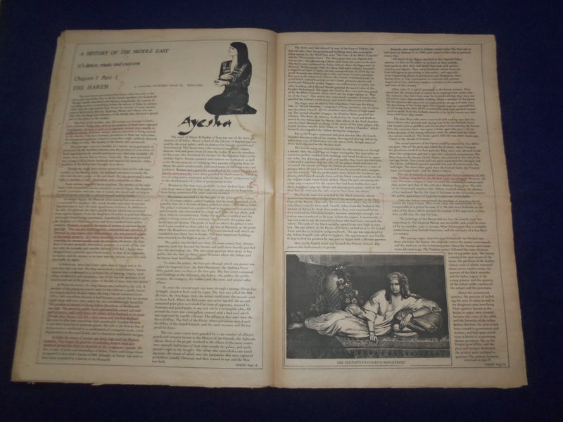 1978 HABIBI NEWSPAPER - VOLUME 4, NUMBER 9- MIDDLE EASTERN DANCE/MUSIC- NP 6865