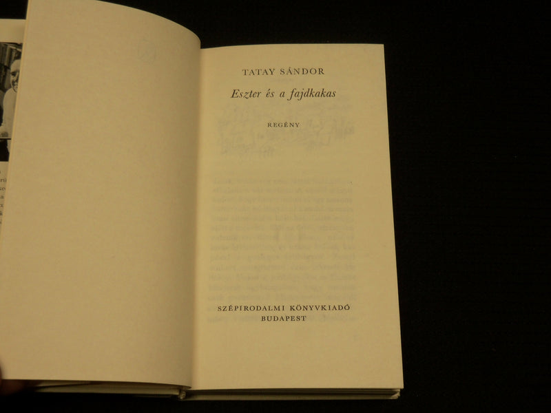 1971 ESZTER ES A FAJDKAKAS HARDCOVER BOOK BY TATAY SANDOR - HUNGARIAN - J 7036