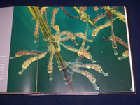 2003 THROUGH THE LENS NATIONAL GEOGRAPHIC GREATEST PHOTOGRAPHS BOOK - KD 1494