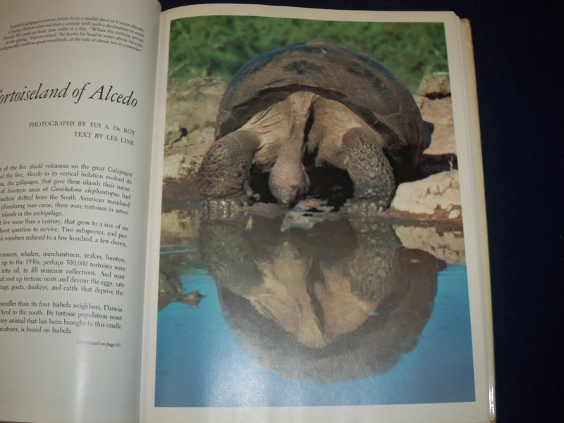 1974 THIS GOOD EARTH BOOK EDITED BY LES LINE - GREAT COLOR PHOTOS - KD 2987