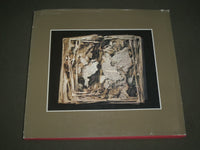 1980 HALF-LIFE BOOK BY ROSAMOND WOLFF - FIRST EDITION - GREAT PHOTOS - I 1497