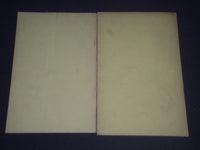 1893-1894 IRON AND STEEL ASSOCIATION ANNUAL REPORTS LOT OF 2 - WR 955E