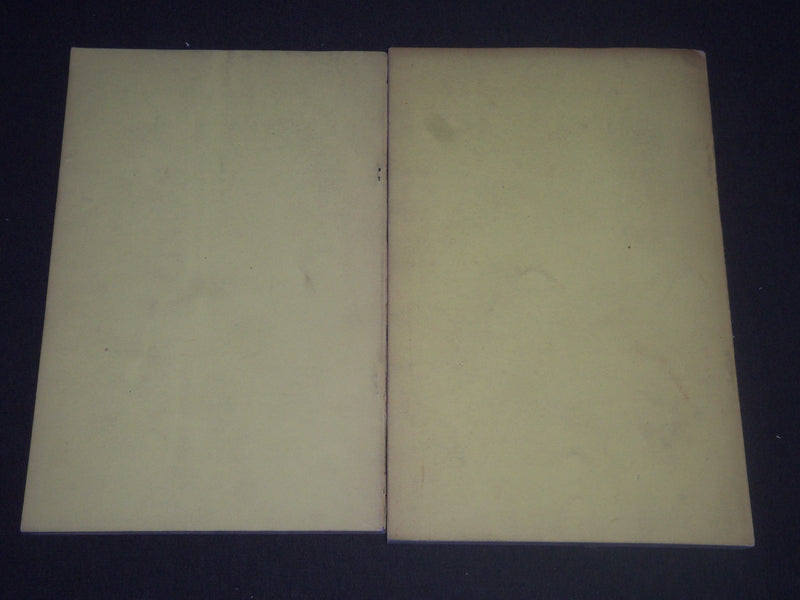 1893-1894 IRON AND STEEL ASSOCIATION ANNUAL REPORTS LOT OF 2 - WR 955E