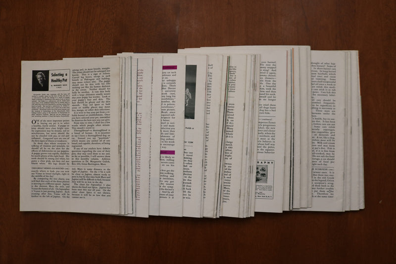 1946-1949 JUNIOR NATURAL HISTORY MAGAZINE - LOT OF 36 - O 3926