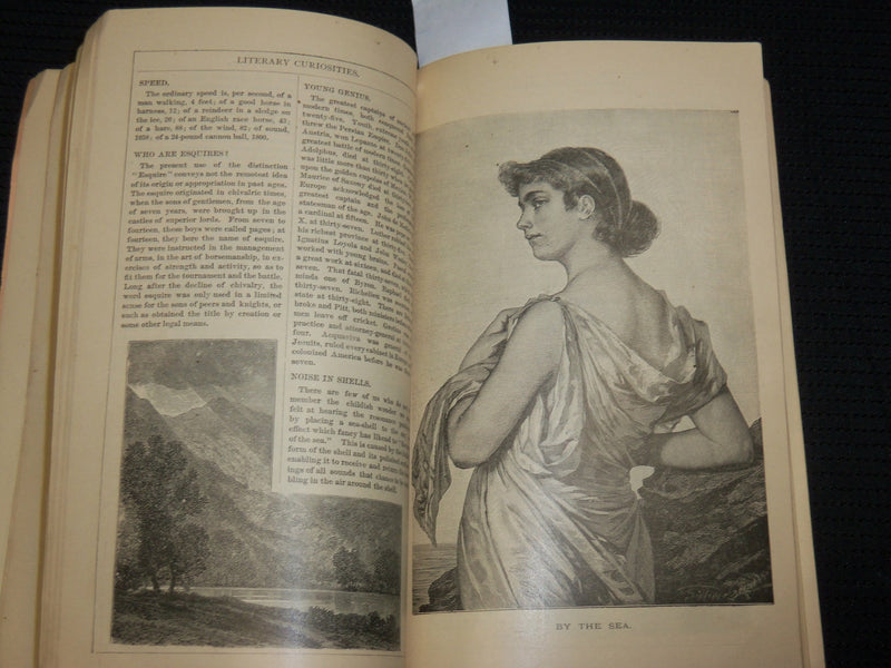 1885 ILLUSTRATED BALTIMORE AMERICAN ALMANAC - SOFTCOVER- J 6863