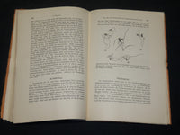 1909-1912 ARCHIV FUR PROTISTENKUNDE GERMAN VOLUME LOT OF 32 - GERMAN - WR 335C