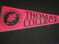 1960'S ASSORTED WALL PENNANTS LOT OF 3 - THOMAS COLLEGE - HOWE CAVERNS - SEAWAY