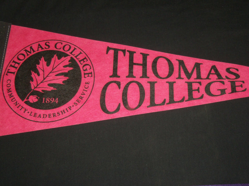 1960'S ASSORTED WALL PENNANTS LOT OF 3 - THOMAS COLLEGE - HOWE CAVERNS - SEAWAY