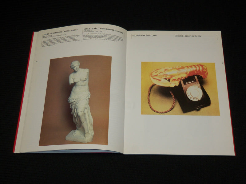 1987 DALI NELLA TERZA DIMENSIONE SOFTCOVER BOOK - NICE PHOTOS - R 725U